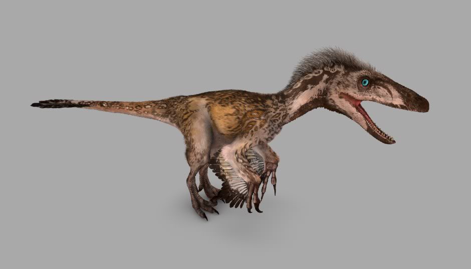 utahraptor velociraptor
