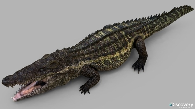 prehistoric kingdom torvosaurus prehistoric kingdom torvosaurus