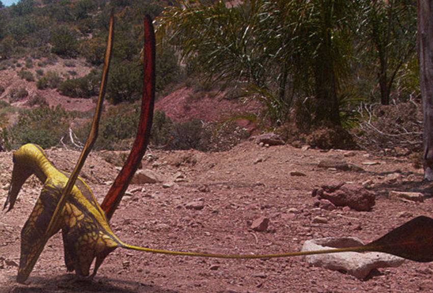 rhamphorhynchus