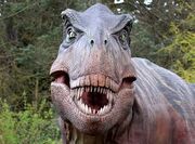 Rex head