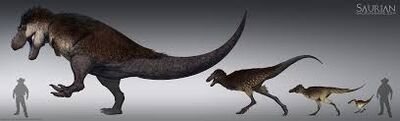 Rexgrowth