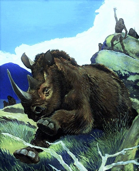 Woolly Rhinoceros | Dinosaurs Battle World Championship Wiki | FANDOM ...