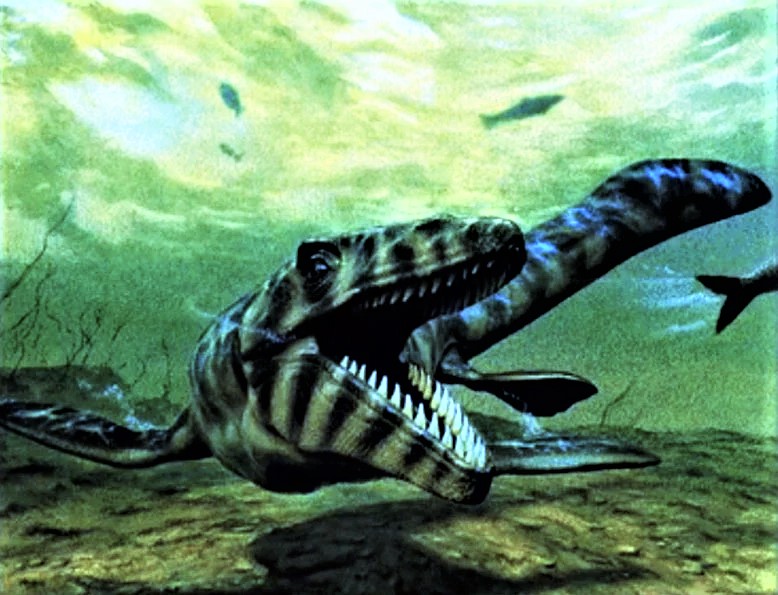 show me a mosasaurus