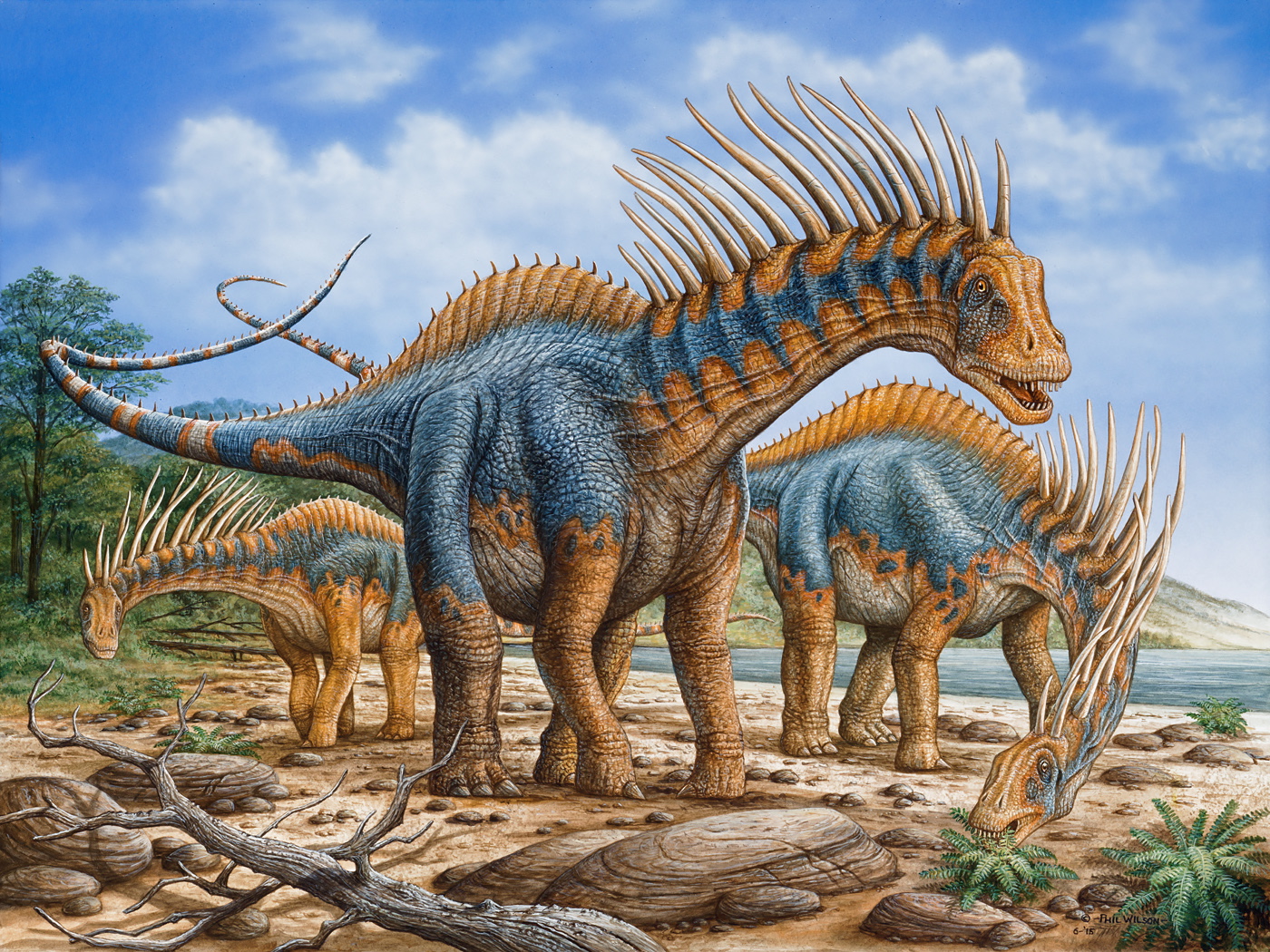 Amargasaurus Dinosaurs Battle World Championship Wiki FANDOM