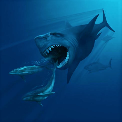 megalodon sea dinosaurs