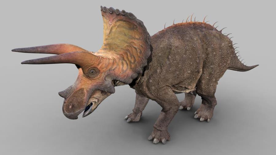 triceratops with spiky frill