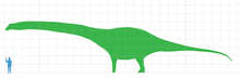 220px-Dreadnoughtus scale