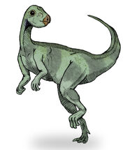 Qantassaurus sketch1