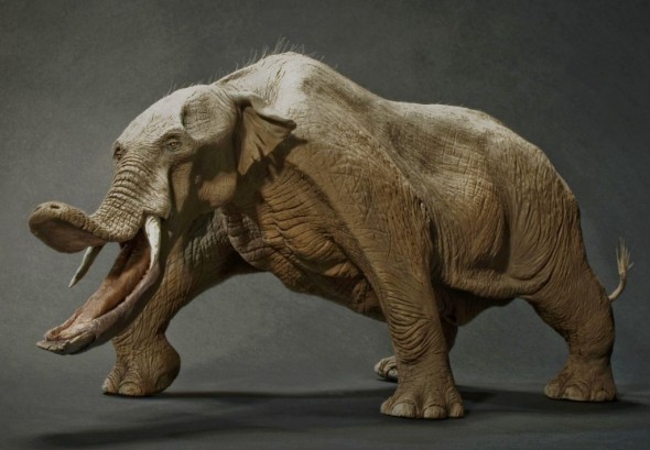 Amebelodon | Dinopedia | FANDOM powered by Wikia