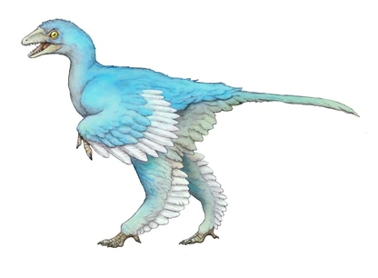 Aurornis Dinopedia Fandom