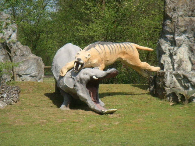 Machairodus Dinopedia FANDOM powered by Wikia