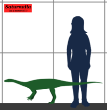 220px-Saturnalia SIZE