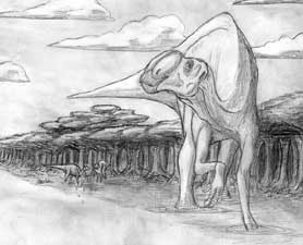 Latirhinus