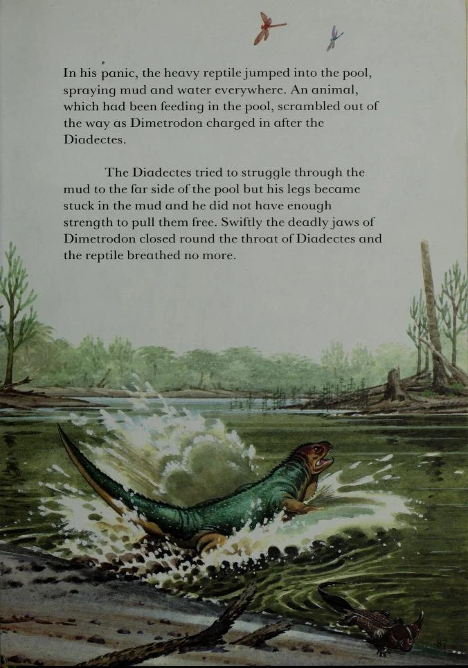Diadectes Dinopedia Fandom