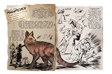 Procoptodon ark