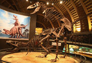 Courting t rexes why does this setup and image exist