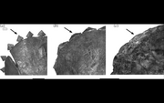 Triceratops epoccipitals.jpg