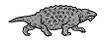 Pareiasaur Morphology