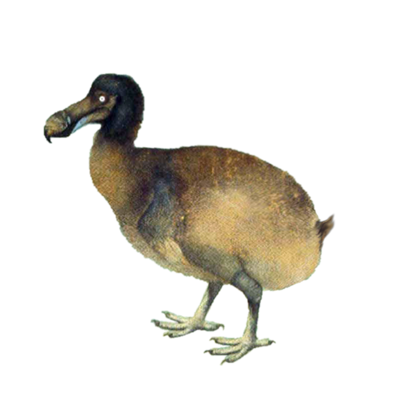 ice age dodo bird names