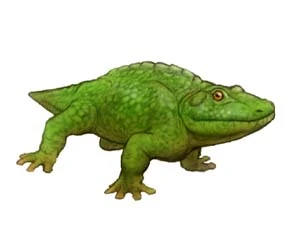 Cacops Dinopedia FANDOM powered by Wikia