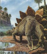 stegosaurus gallery dinopedia fandom powered by wikia