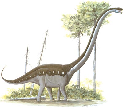 omeisaurus