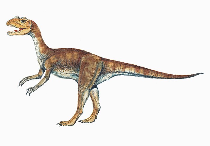dinosaur that starts with t