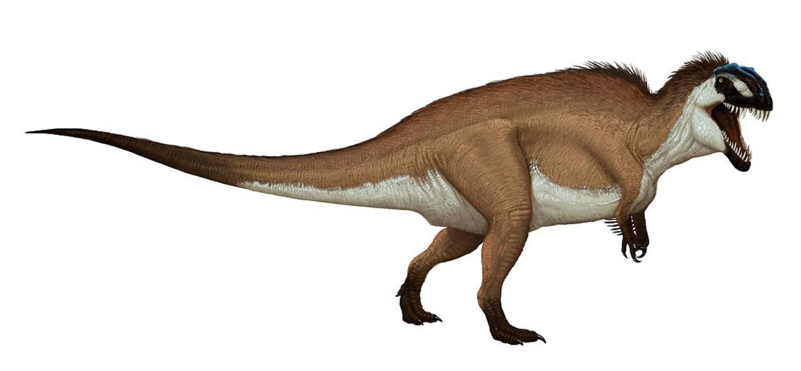 prehistoric kingdom carcharodontosaurus