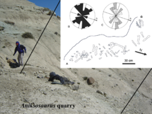 220px-Aniksosaurus quarry