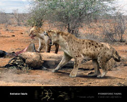 Smilodon fatalis