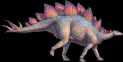 Stegosaurus/Gallery | Dinopedia | FANDOM powered by Wikia