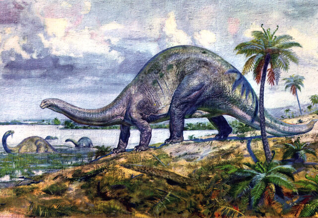 https://vignette.wikia.nocookie.net/dinosaurs/images/1/1d/Brontosaurus_by_zdenek_burian_1950.jpg/revision/latest/scale-to-width-down/640?cb=20170216140953