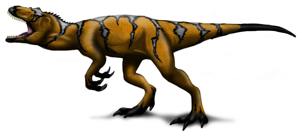 Заурофаганакс. Saurophaganax Maximus. Заурофаганакс динозавр. Заурофаганакс скелет.