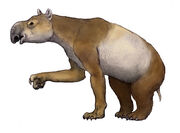 Homalodotherium | Dinopedia | FANDOM powered by Wikia