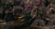 Dinosaur-disneyscreencaps com-194