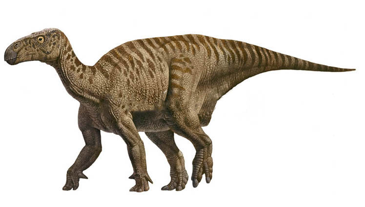 Dinosaur Iguanodon d20PFSRD