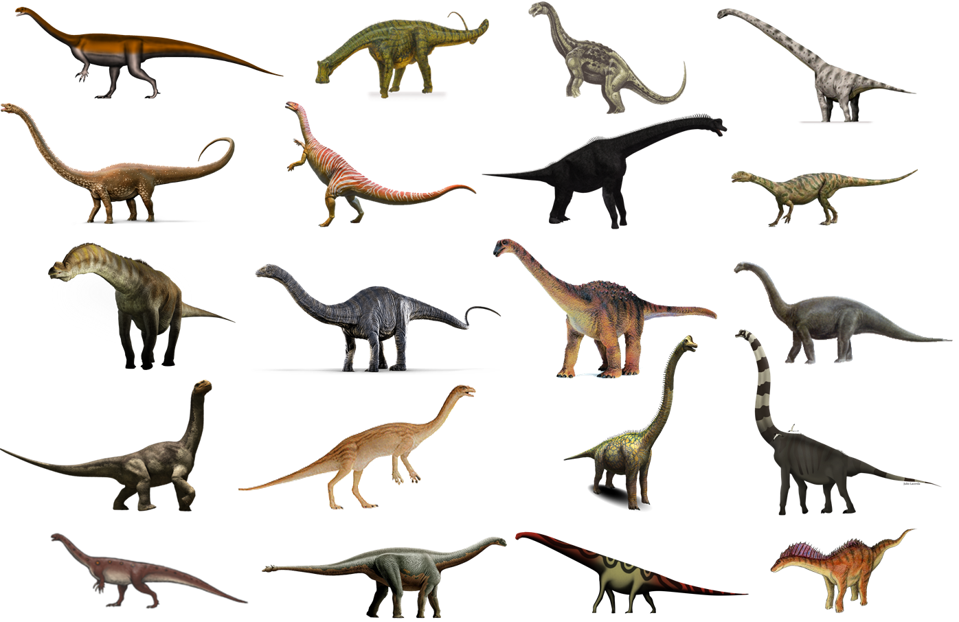 Výsledek obrázku pro sauropodomorpha