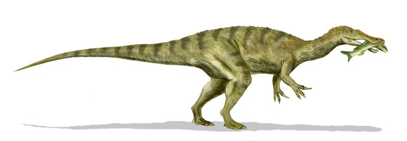 baryonyx mcdonald's
