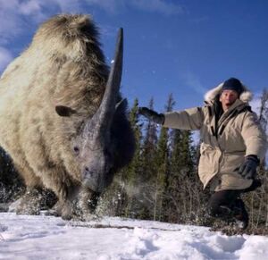 Elasmotherium  Dinopedia  FANDOM powered by Wikia