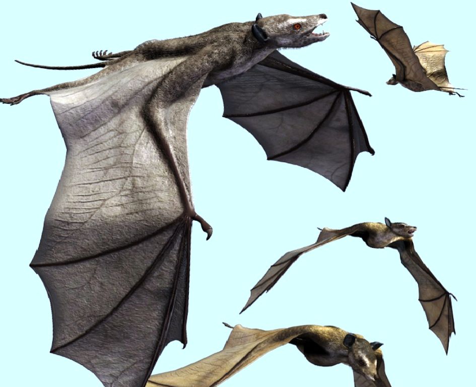 dinosaur with bat wings