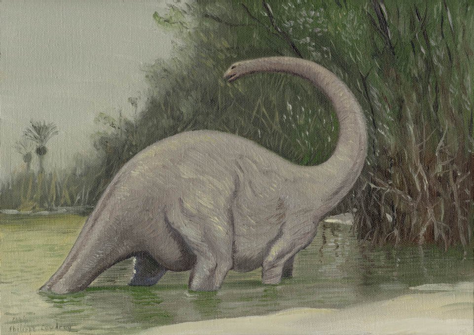 An Artists Impression Of Mokele Mbembe As A Sauropod Dinosaur