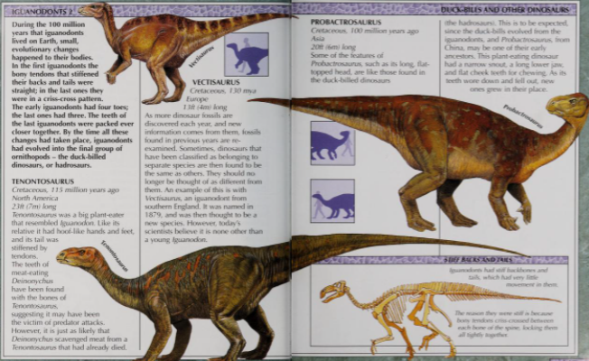 Probactrosaurus | Dinopedia | Fandom