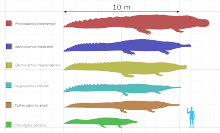 220px-Large crocodyliformes 2015