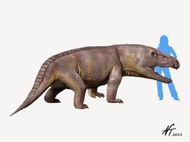 Erythrosuchus NT