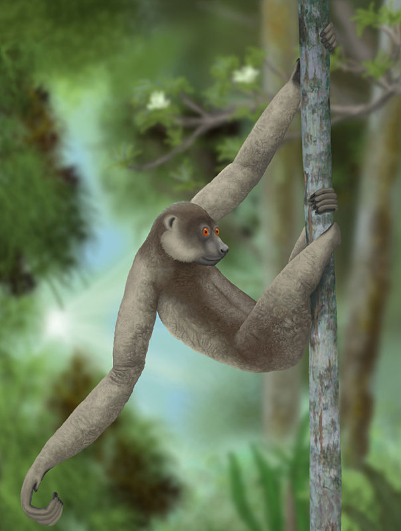 dinopedia