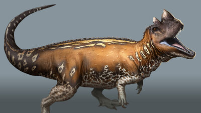 Ceratosaurus Dinopedia Fandom