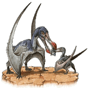 Ornithocheirus simus-web