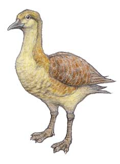 Vegavis | Dinopedia | FANDOM powered by Wikia