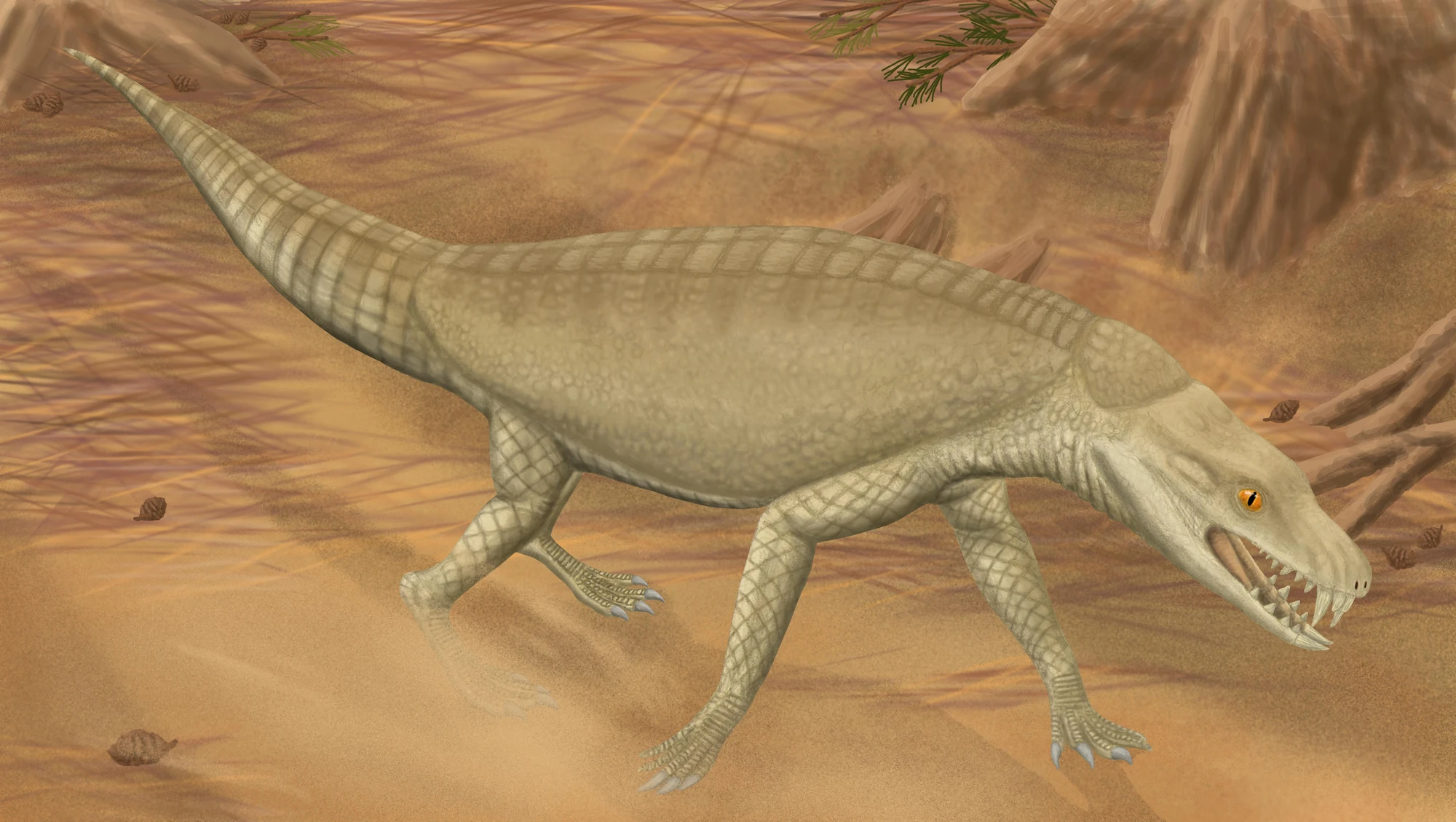 Armadillosuchus Dinopedia FANDOM powered by Wikia