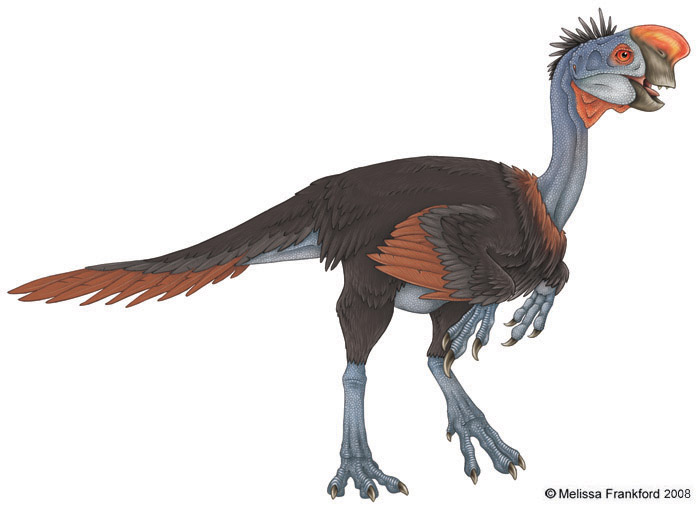 Znalezione obrazy dla zapytania oviraptor